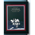 EMS Fire Specialty Award on Black Plaque